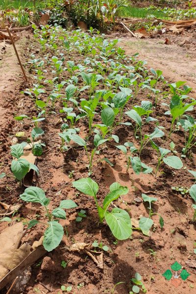 permakulturniprednaska